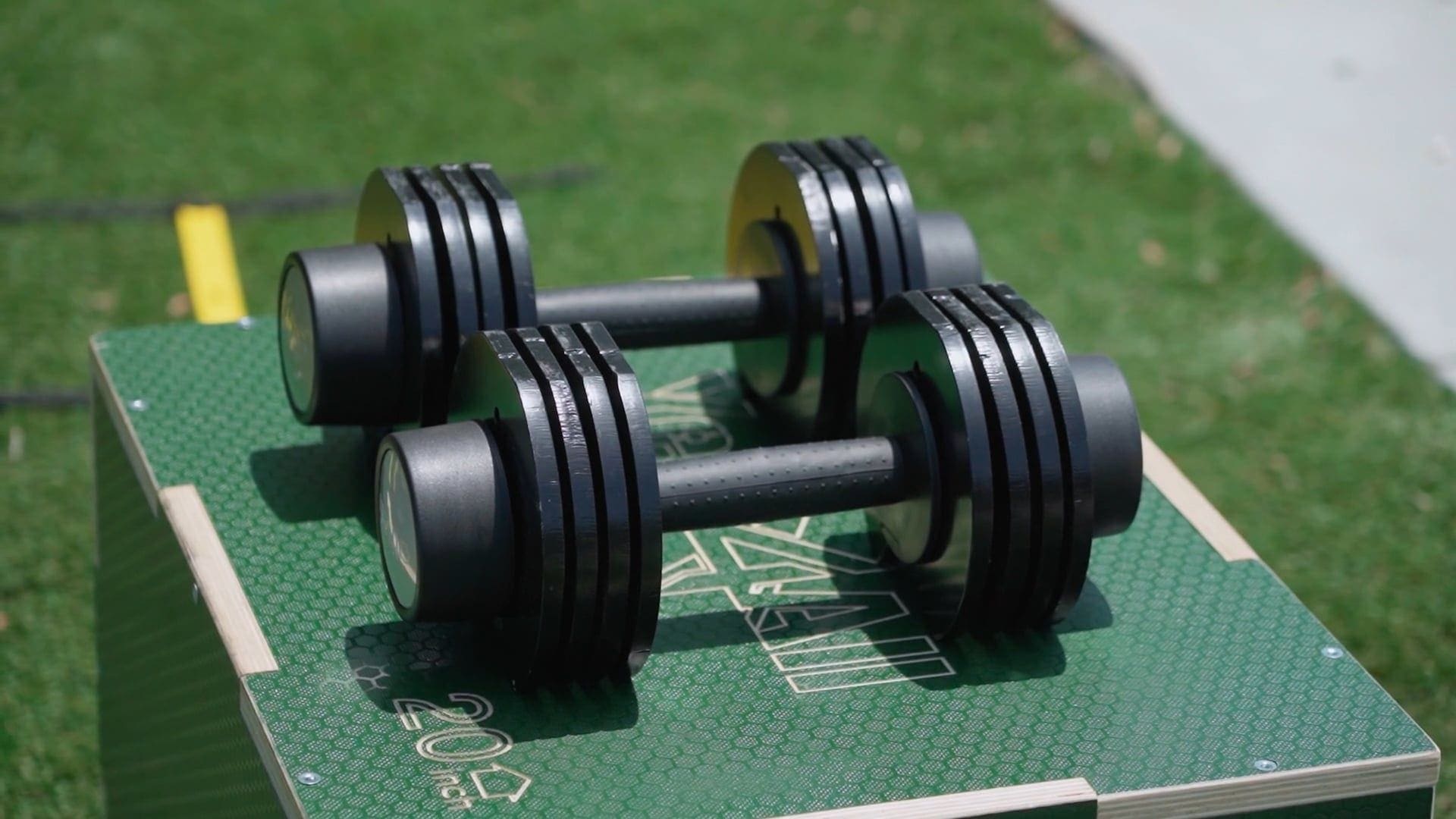 Dumbbells in the gym