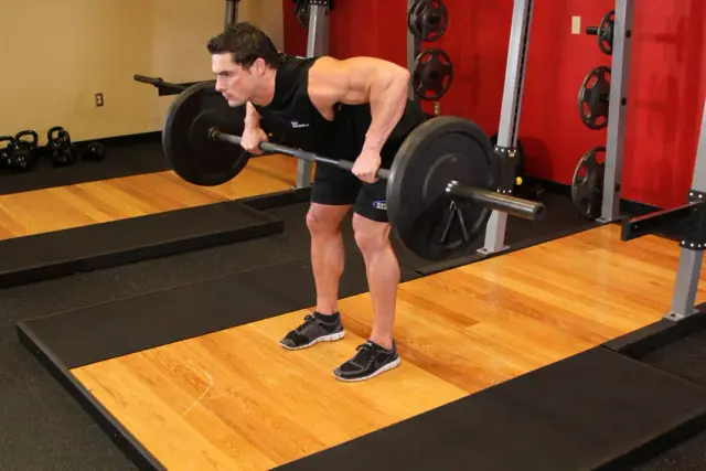 Barbell Rear Delt Row 2