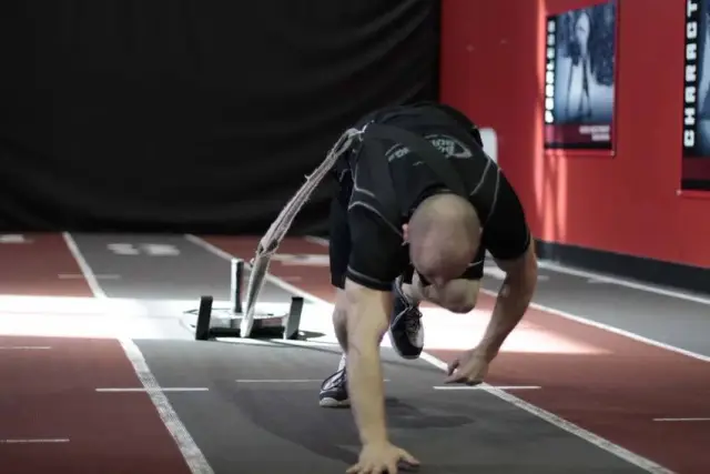 Bear Crawl Sled Drags 2