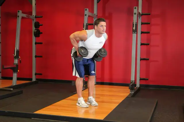 Bent Over Two-Dumbbell Row With Palms In 2
