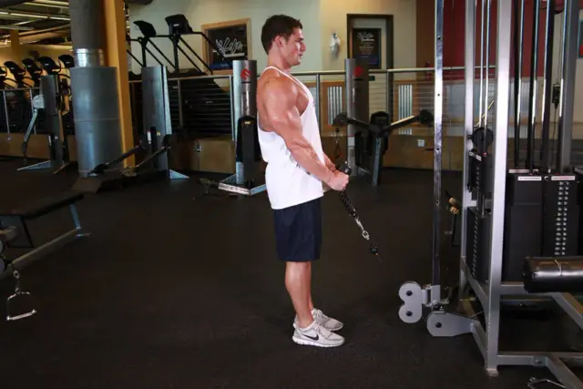 Cable Hammer Curls - Rope Attachment 1