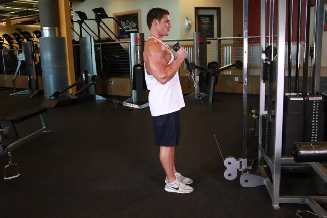 Cable Hammer Curls - Rope Attachment 2