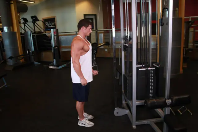 Cable One Arm Tricep Extension 1