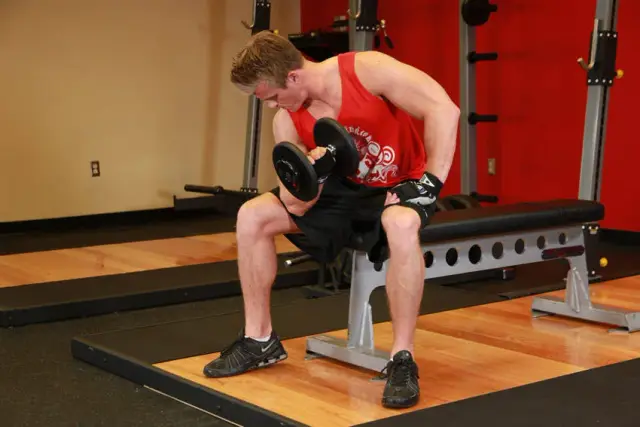 Concentration Curls 2