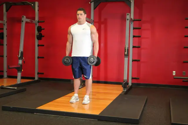 Dumbbell Curl 1