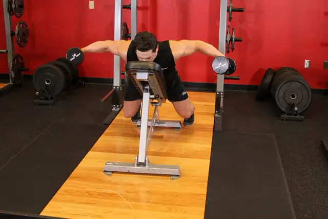 Dumbbell Lying Rear Lateral Raise 2