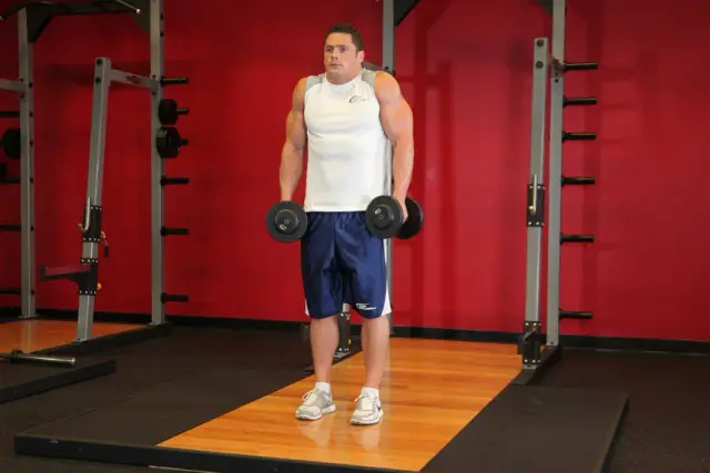 Dumbbell Shrug 2