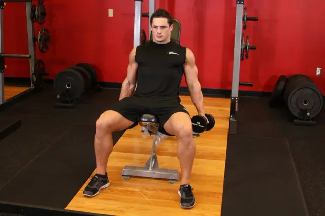 Flexor Incline Dumbbell Curls 1