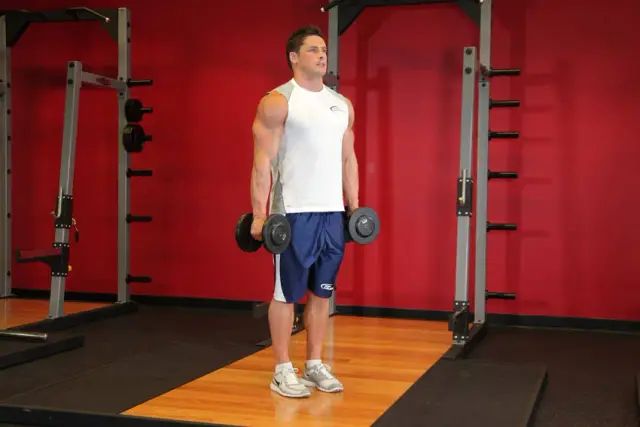 Hammer Curls 1