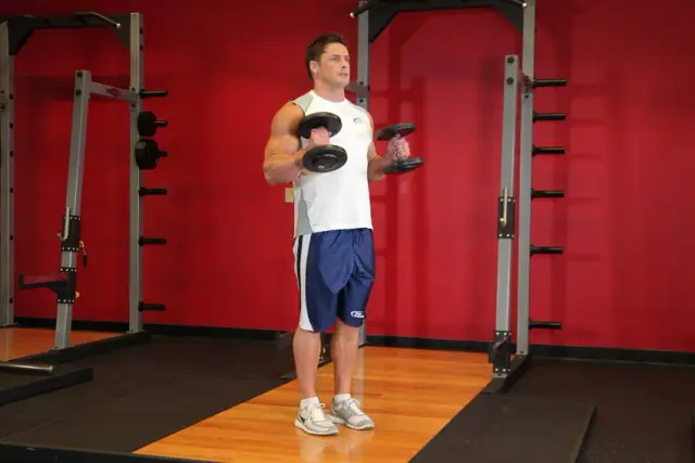 Hammer Curls 2