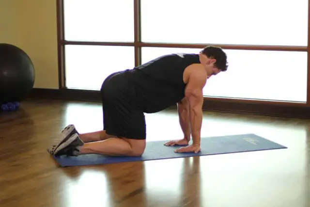 Kneeling Forearm Stretch 1