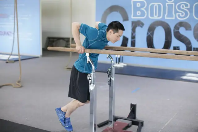 Dips 1