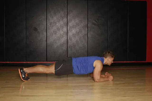 Plank 2
