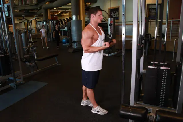 Reverse Grip Triceps Pushdown — Start