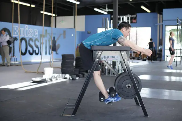 Reverse Hyperextension — Start
