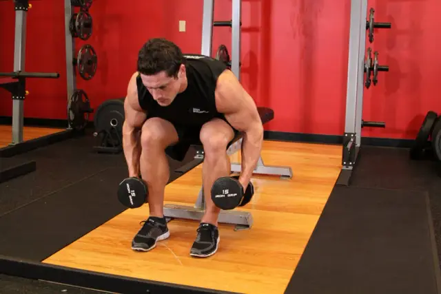 Seated Bent-Over Rear Delt Raise — Start