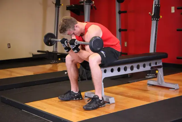 Seated Close-Grip Concentration Barbell Curl — End