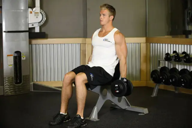Seated Dumbbell Curl — Start