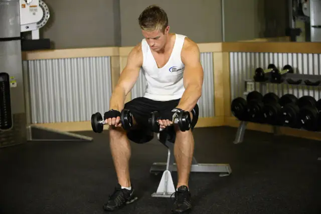 Seated Dumbbell Palms-Down Wrist Curl — End