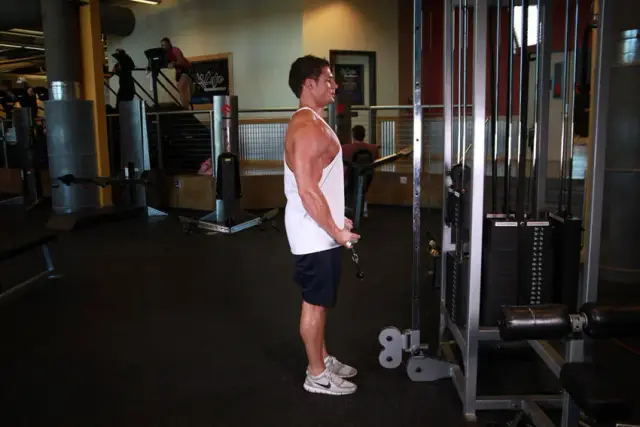 Standing Biceps Cable Curl 1
