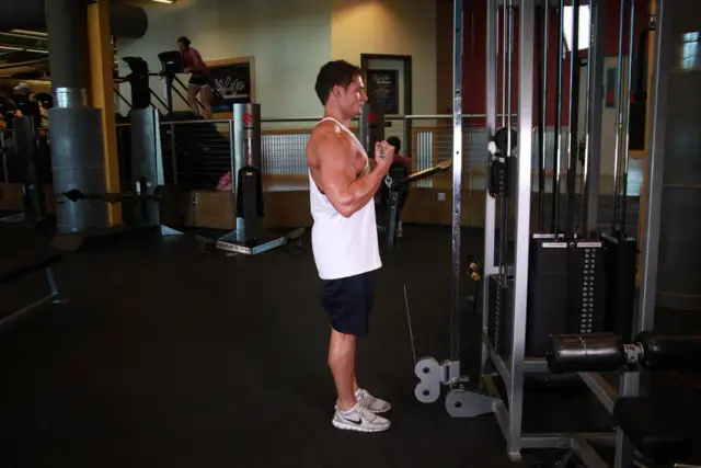 Standing Biceps Cable Curl 2