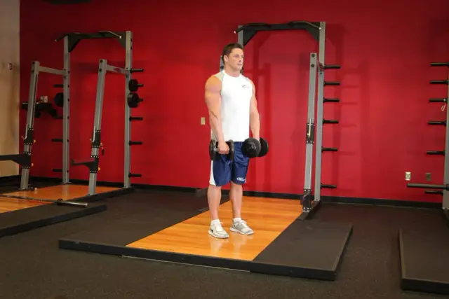 Standing Dumbbell Reverse Curl 1