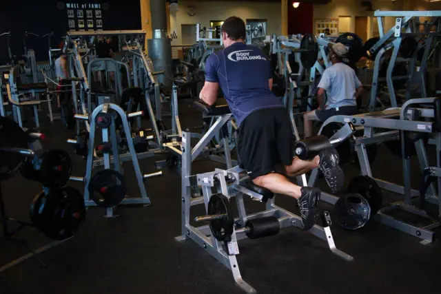 Standing Leg Curl — End