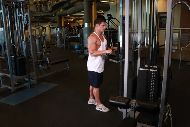 Triceps Pushdown 1