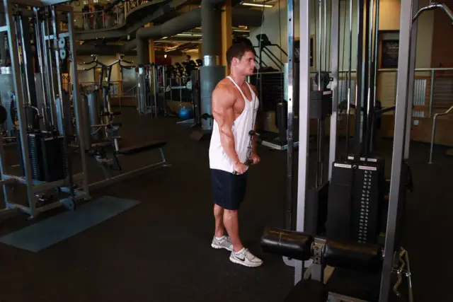 Triceps Pushdown 2