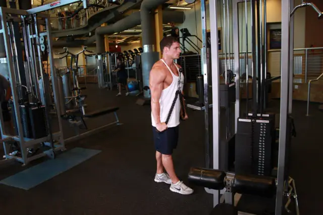 Triceps Pushdown - Rope Attachment 2