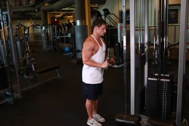 Triceps Pushdown - V-Bar Attachment 1