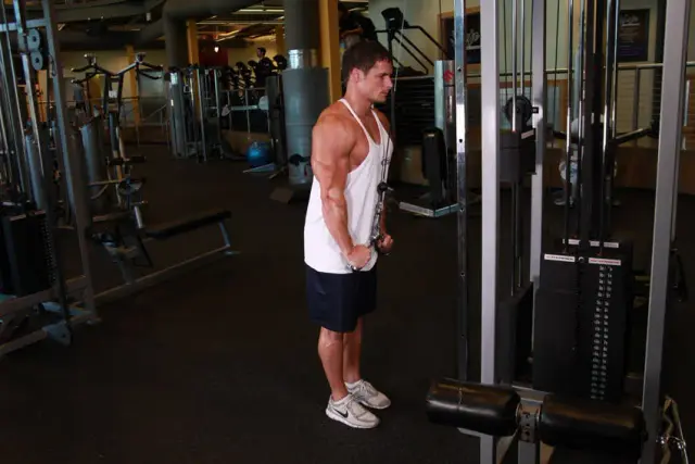 Triceps Pushdown - V-Bar Attachment 2