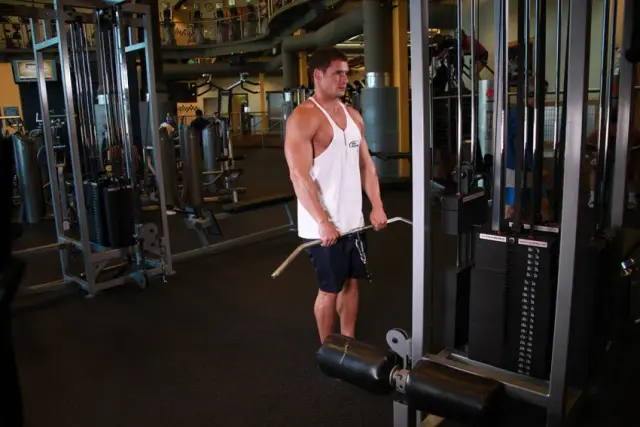 Upright Cable Row 2